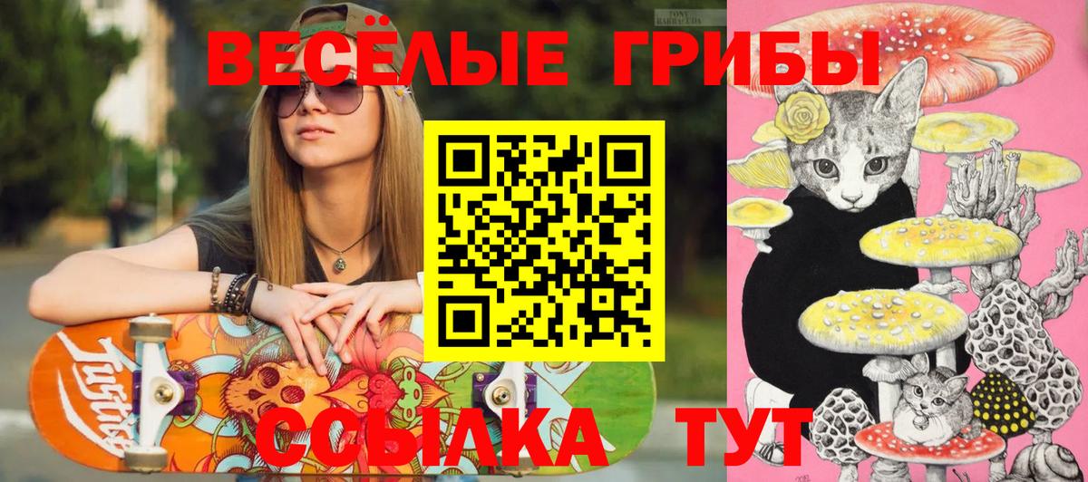 Киров  Галлюциногенные грибы Psilocybine cubensis  Псилоцибиновые грибы Psilocybine cubensis  Вход с VPN 