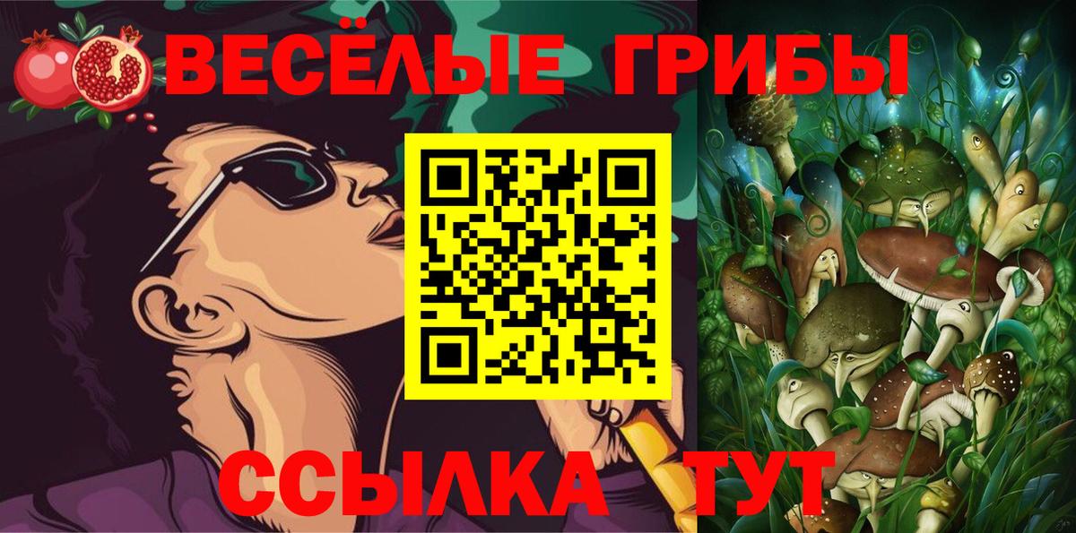 Псилоцибиновые грибы Psilocybine cubensis Киров